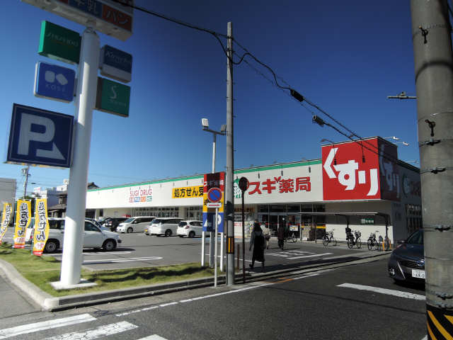 スギ薬局