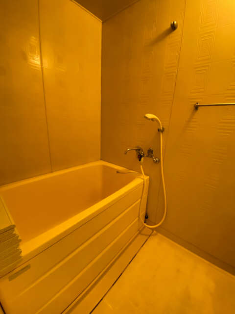 臼井南コーポⅠ 2階 浴室