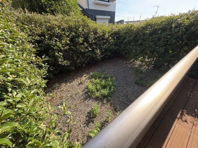 庭