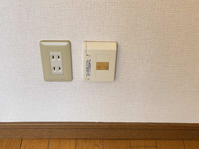 光回線