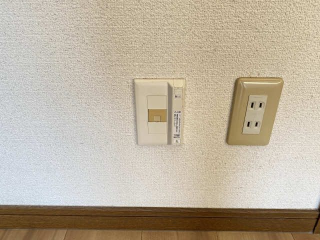 光回線