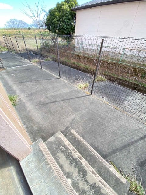 庭