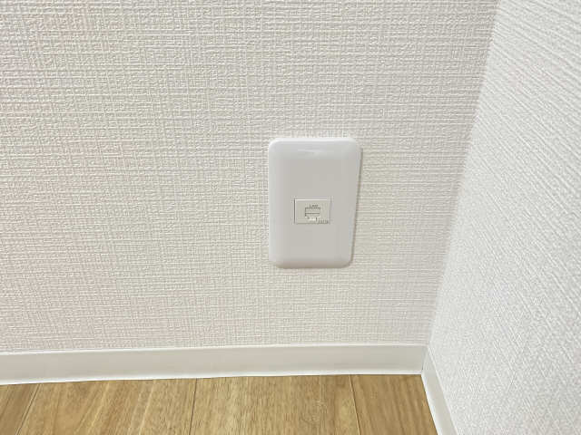 LAN