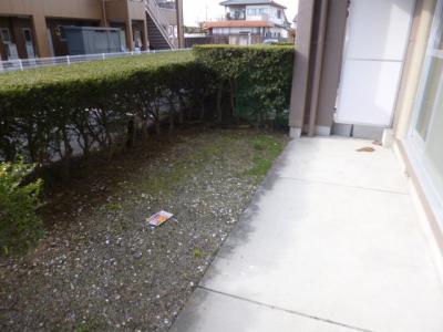 庭