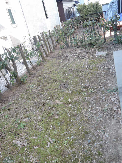 庭