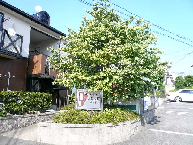 シンボルツリー
