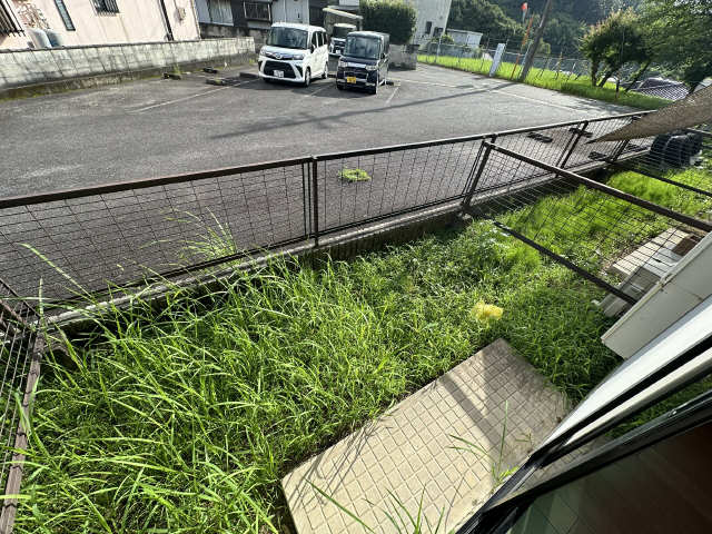 庭