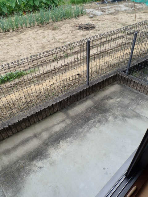 庭