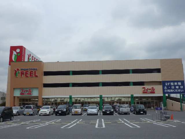 FEEL１７分