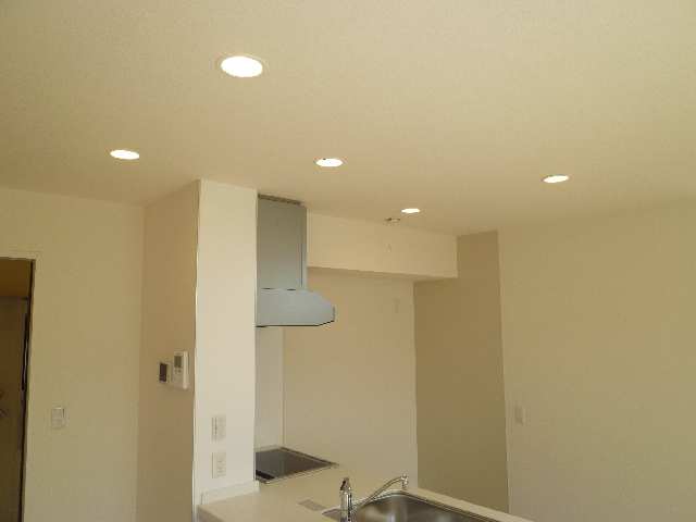 LDKﾀﾞｳﾝﾗｲﾄ