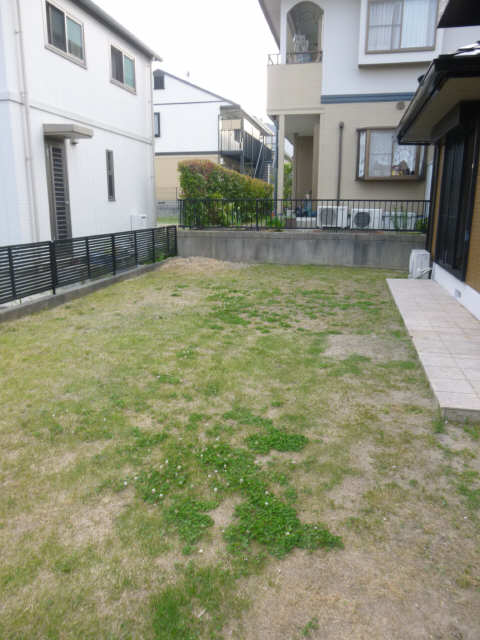 庭