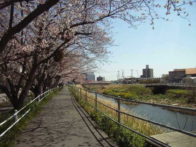 藤本ハイツ 3階 遊歩道