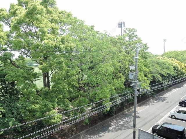 公園