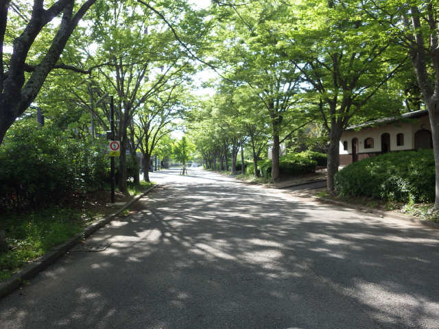 コーポ平川本町 1階 公園