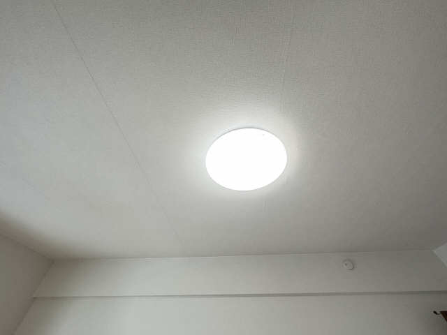 照明