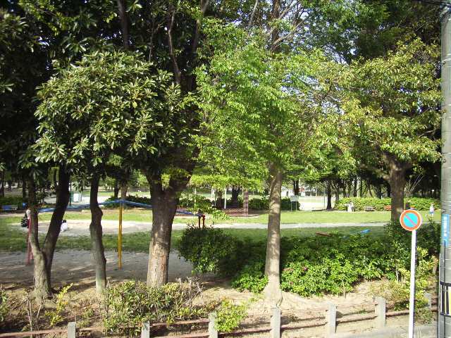 ＰｅａｒＷｏｏｄｓ小鷹野 3階 小鷹野公園