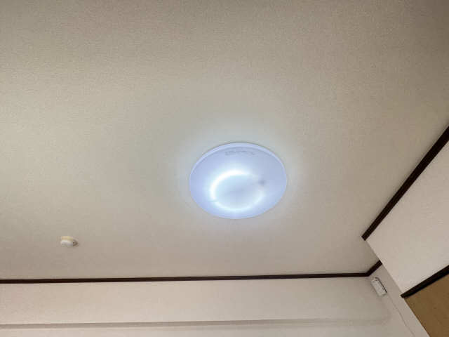 照明