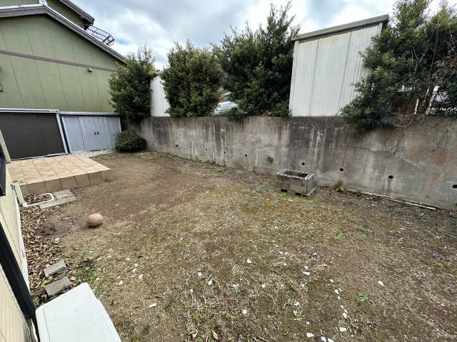 庭