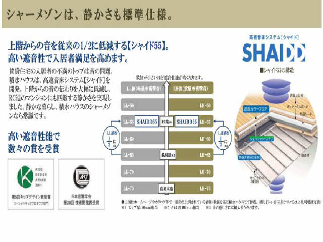 SHAIDD55