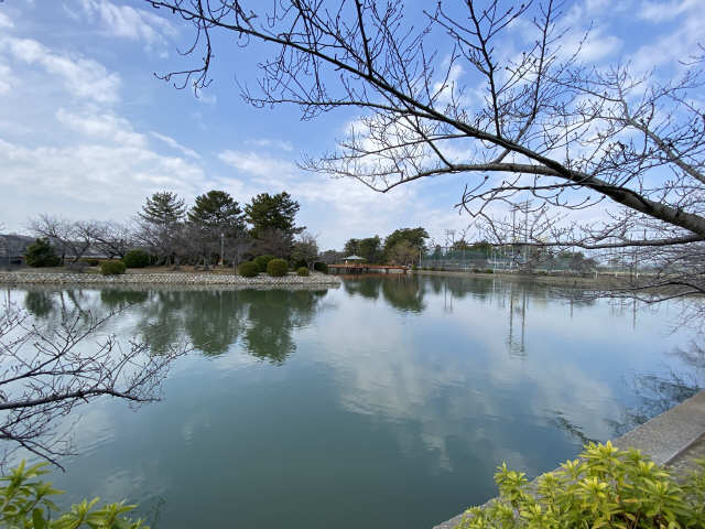 ダイアパレス九華公園１０４ 1階 その他