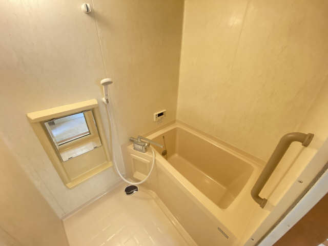 マンハイムカドゲン 4階 浴室