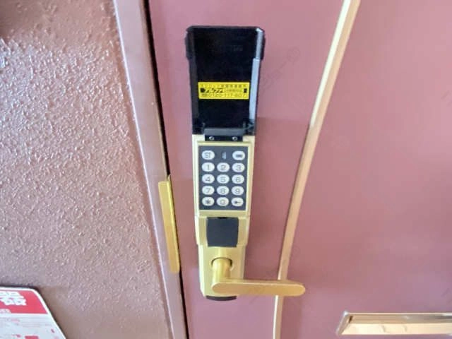 EDロック
