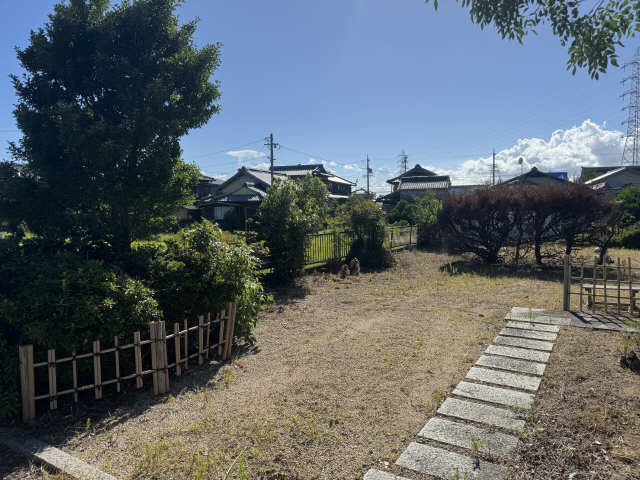庭