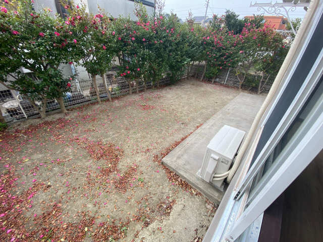 庭