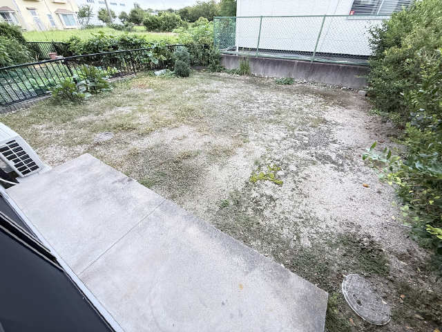 庭