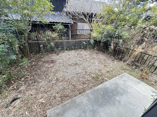 庭