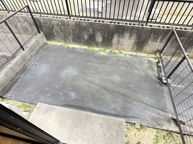 庭