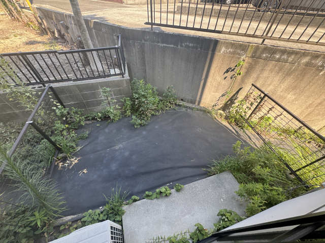 庭