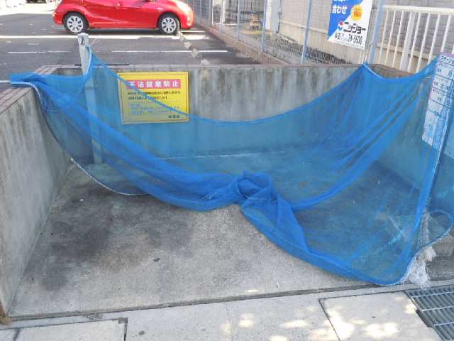 ゴミ置場