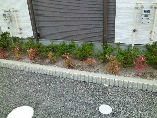 植栽