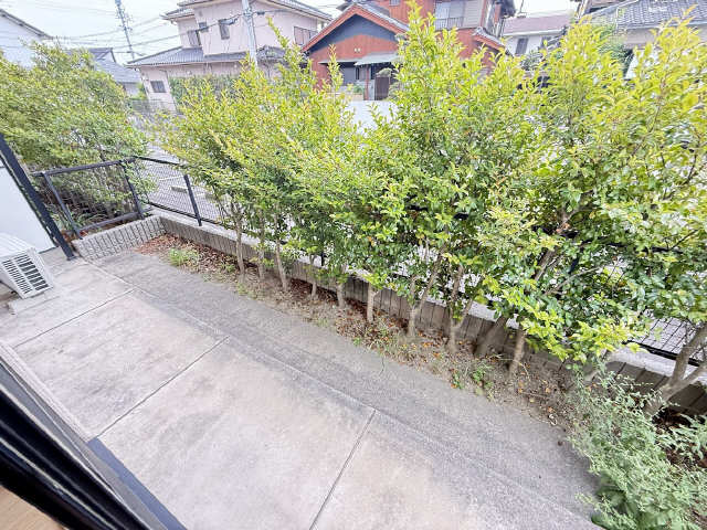 庭