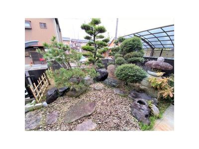 庭