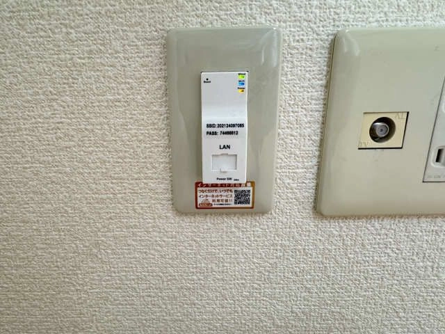 無料インターネット