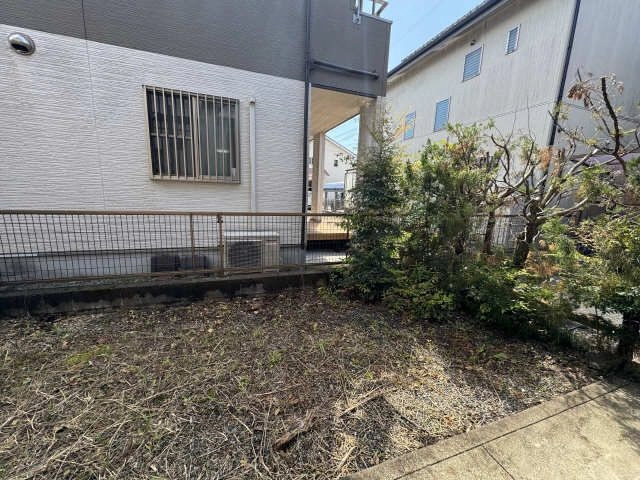 庭