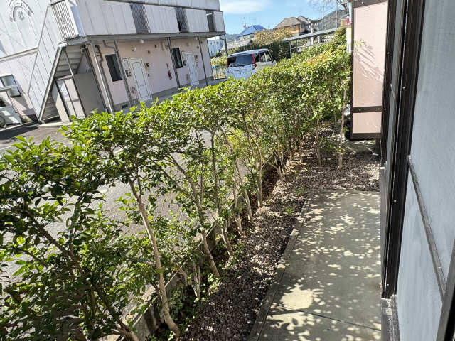 庭