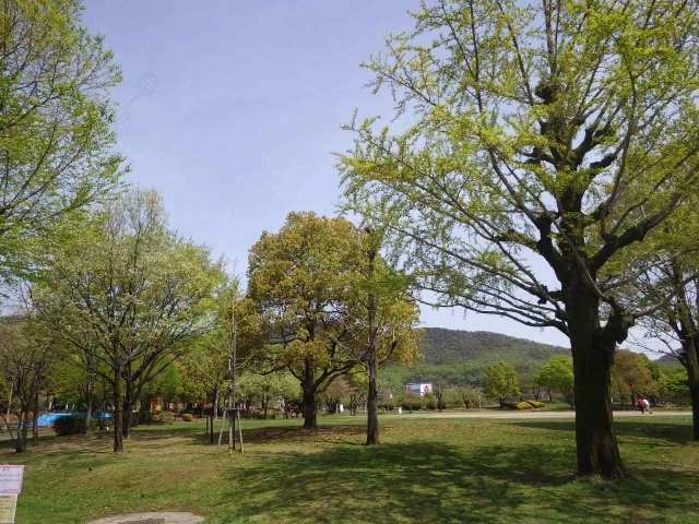 長良公園