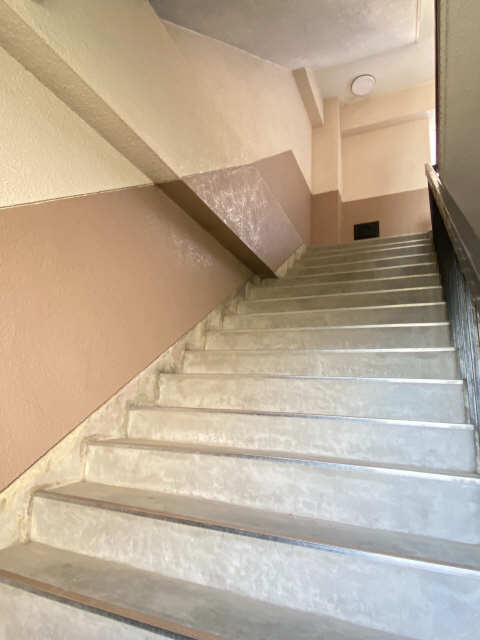ロイヤル岩倉 4階 階段