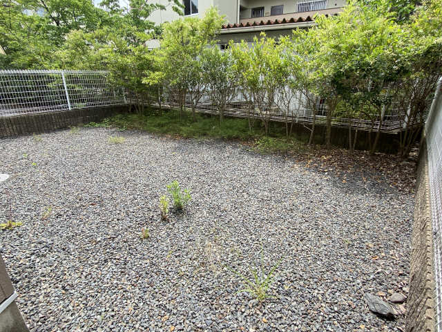 庭