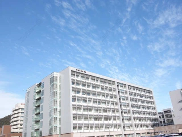 環境写真