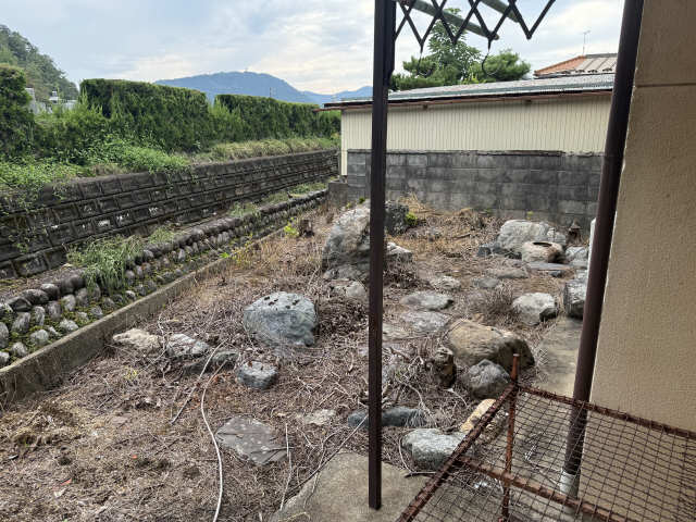 庭