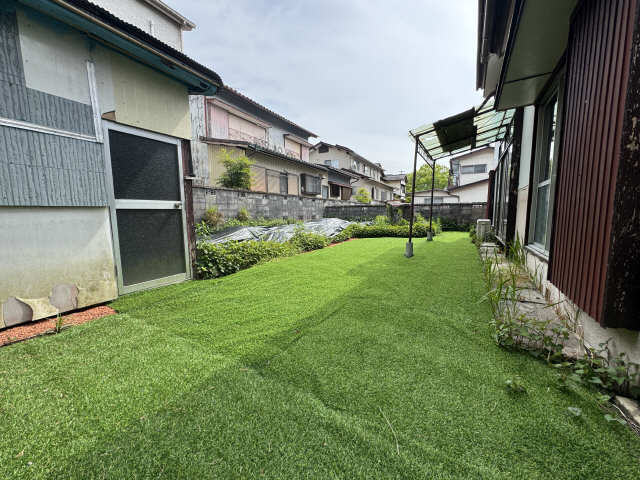 庭