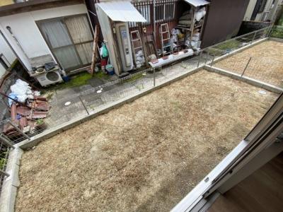 庭