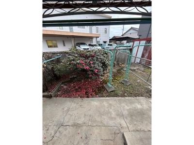 庭
