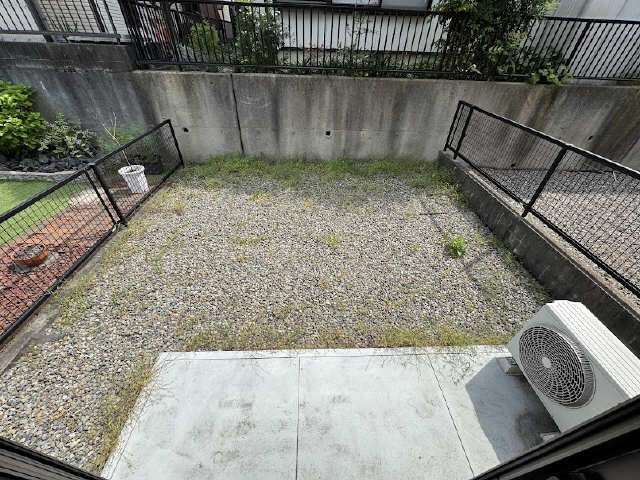 庭