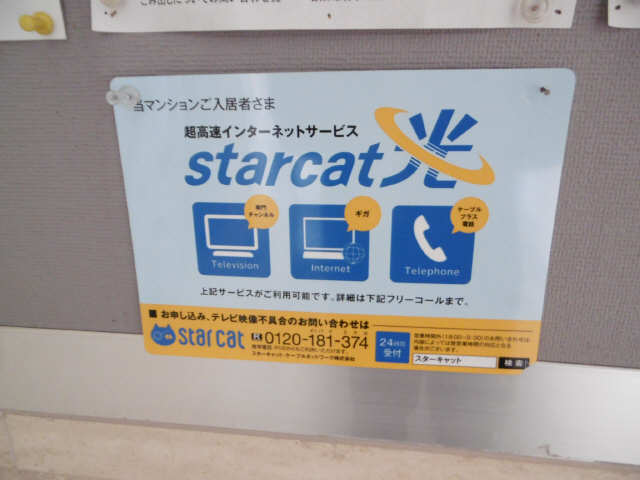 ネット説明