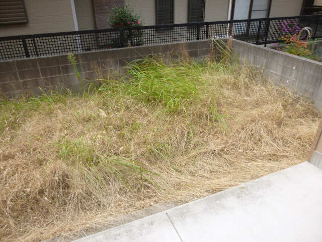 専用庭